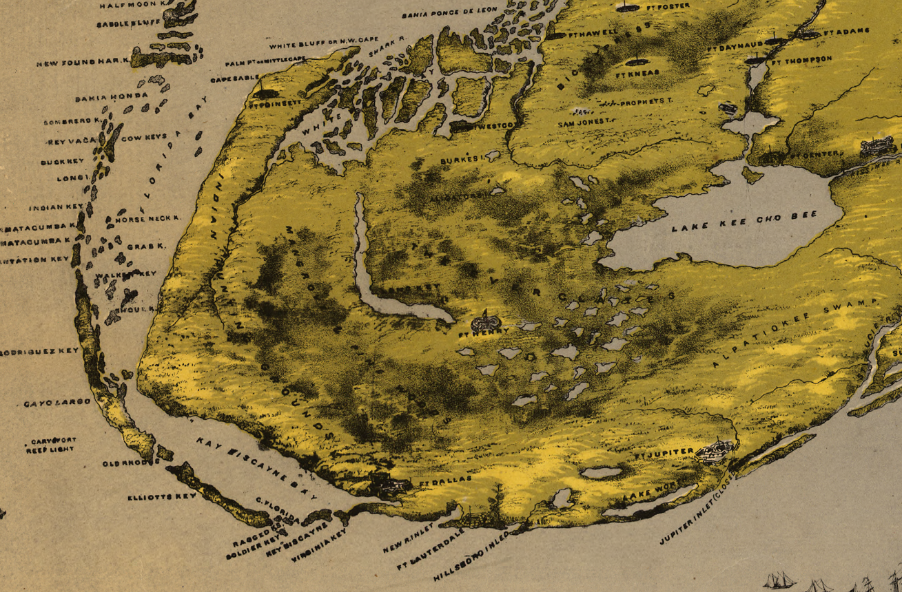 Florida – Bird’s Eye View of the Peninsula and Gulf Coast