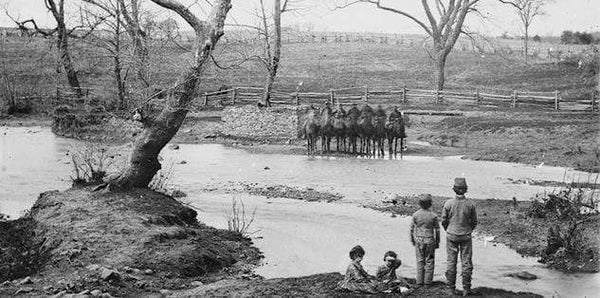 Battle Archives Map Bull Run (Manassas) I #1